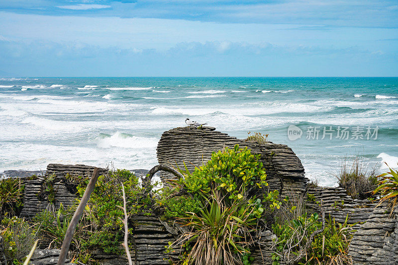 Punakaiki Pancake Rocks and Blowholes Walk, Paparoa国家公园，新西兰